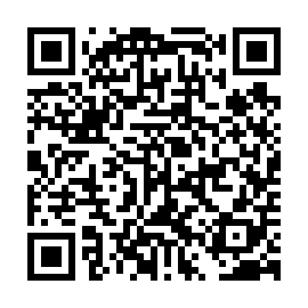QR code for DVS608