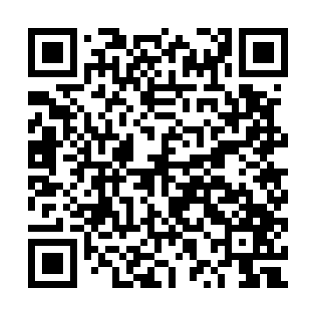 QR code for DXG547