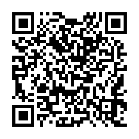QR code for DXY953