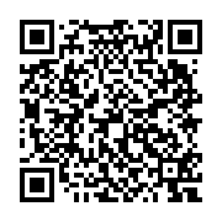 QR code for DYI611
