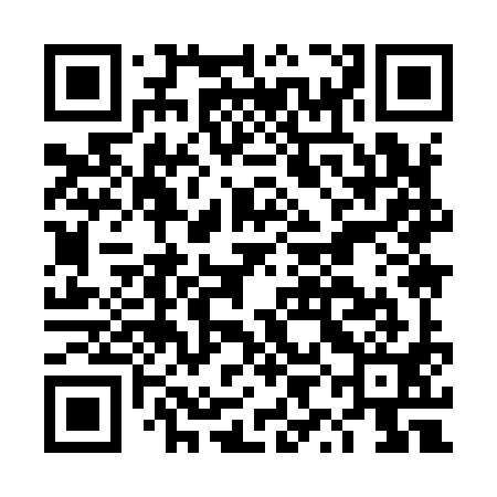 QR code for DYI991