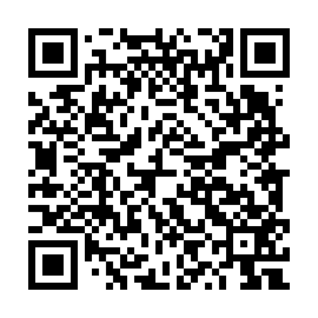 QR code for DYL653