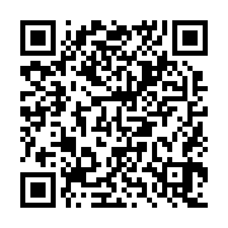 QR code for DYN263