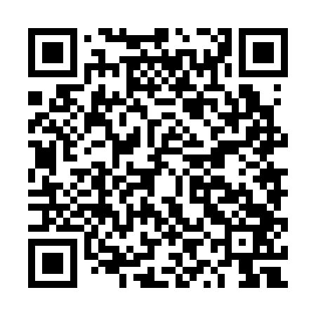 QR code for DYN343