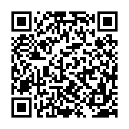 QR code for DYX236