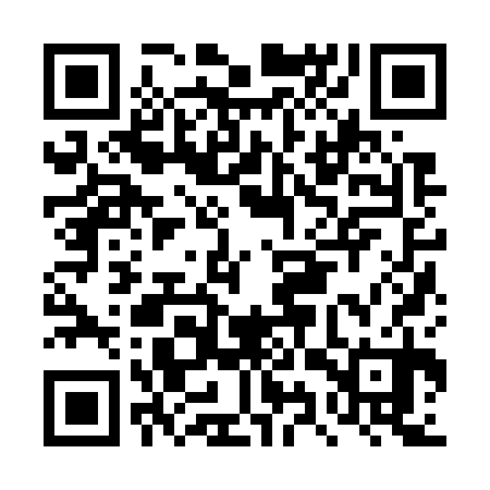 QR code for DYZ730