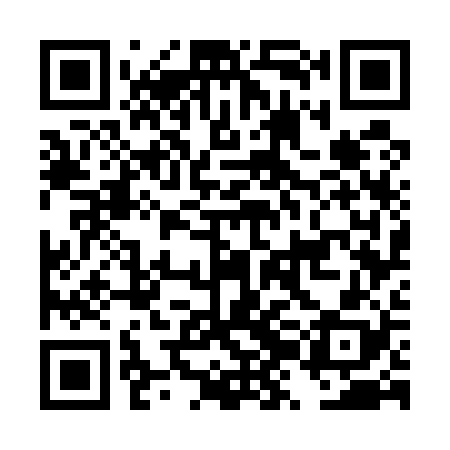 QR code for DZG528