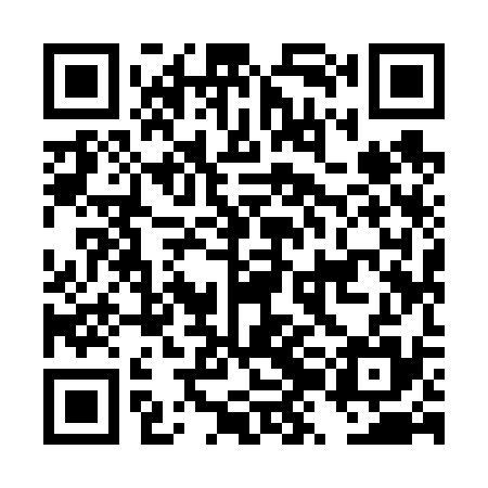 QR code for DZI635