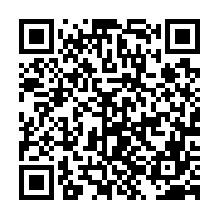 QR code for DZL766