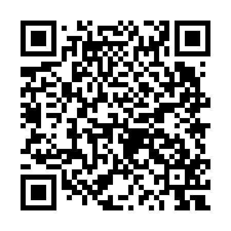 QR code for DZM617