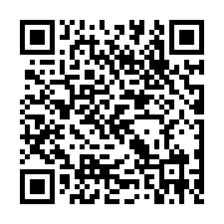 QR code for DZR868