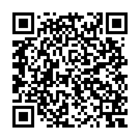 QR code for DZS741