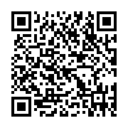 QR code for DZY173