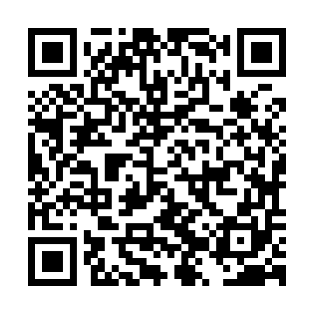 QR code for DZZ950