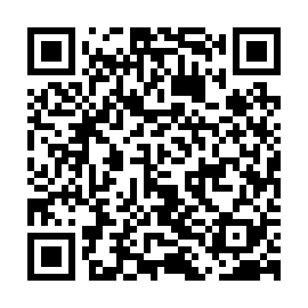 QR code for ELE229