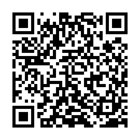 QR code for ELI523