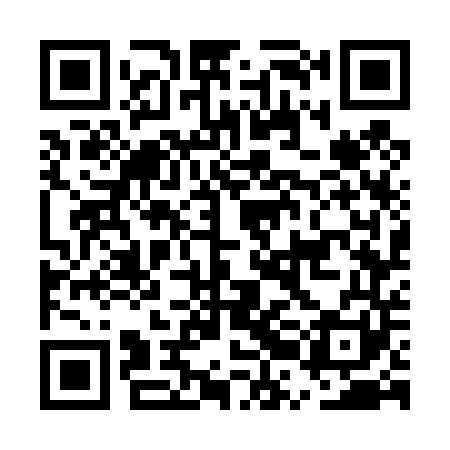 QR code for ERG441