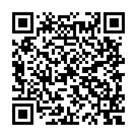 QR code for ERM595