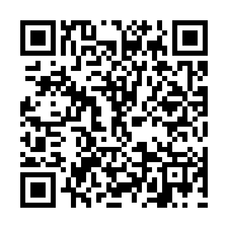 QR code for FDI387