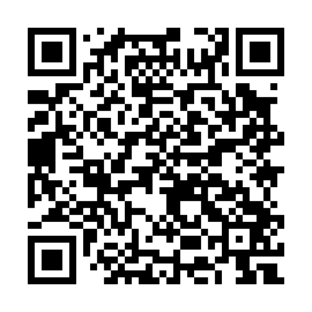 QR code for FEI043