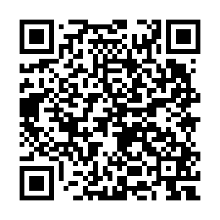 QR code for FEI641