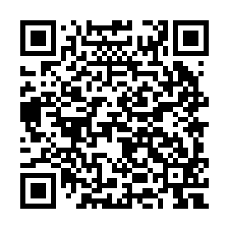 QR code for FEM293