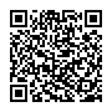 QR code for FHI538