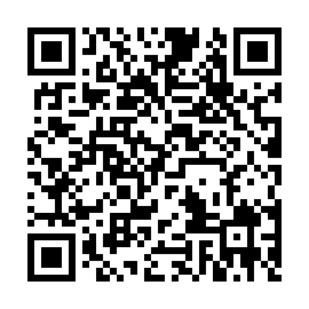 QR code for FIL509