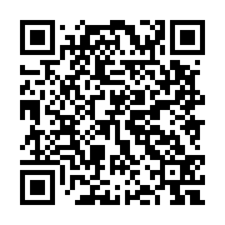 QR code for FJX533