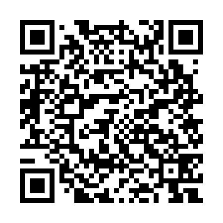 QR code for FKG379