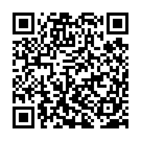 QR code for FLA665