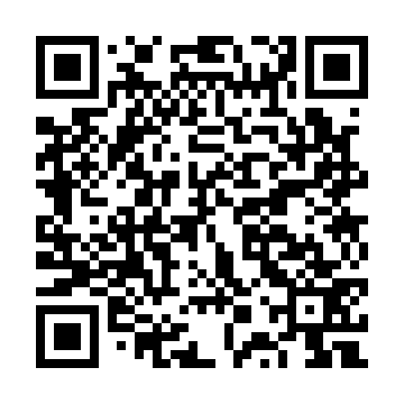QR code for FPS173