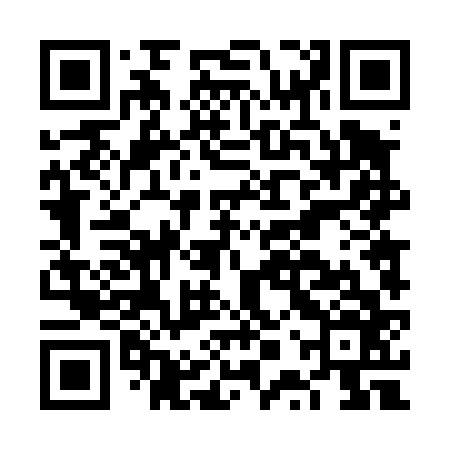 QR code for FPT466