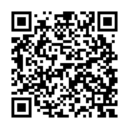 QR code for FPV383