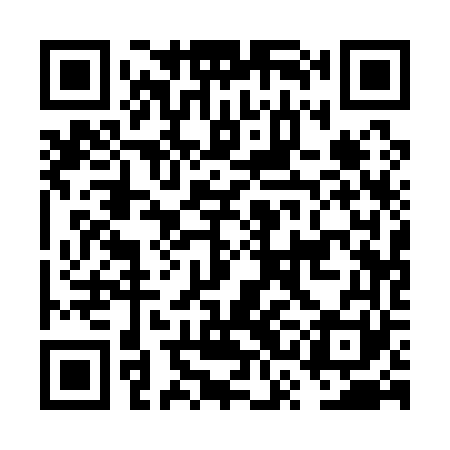 QR code for FSA161