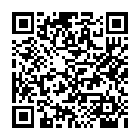 QR code for FYZ294