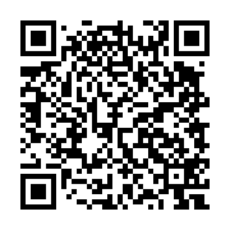 QR code for FZD419