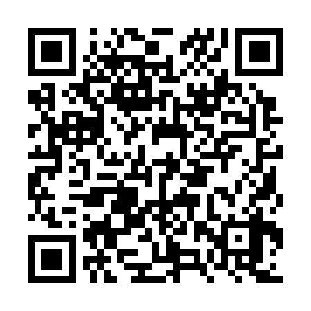 QR code for FZQ338