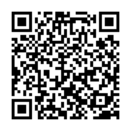 QR code for FZR739