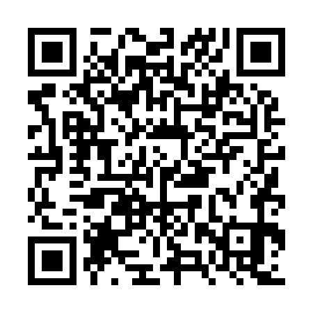 QR code for FZT971