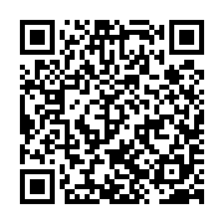 QR code for FZV595