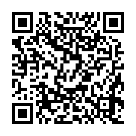QR code for GAS878