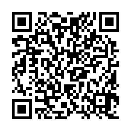 QR code for GBM384