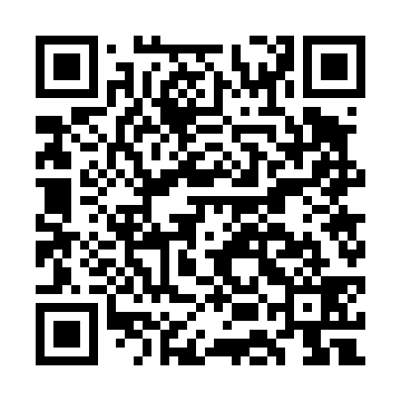 QR code for GEG439