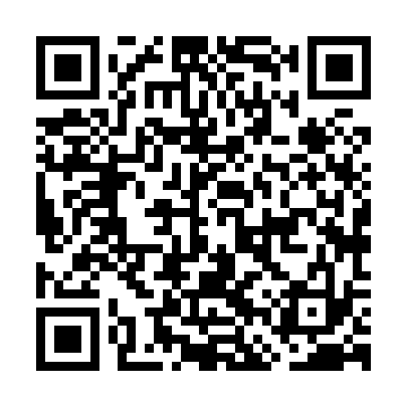 QR code for GFX833