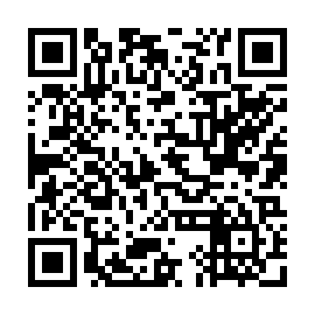 QR code for GIN225