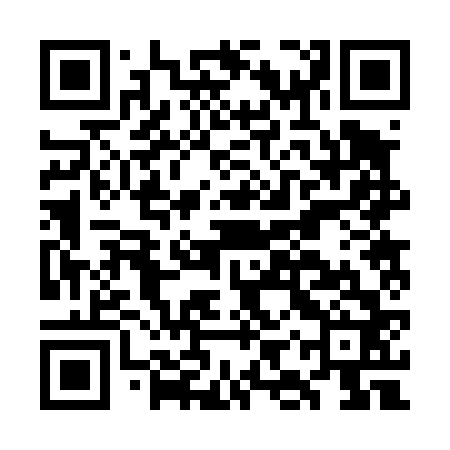 QR code for GIR462