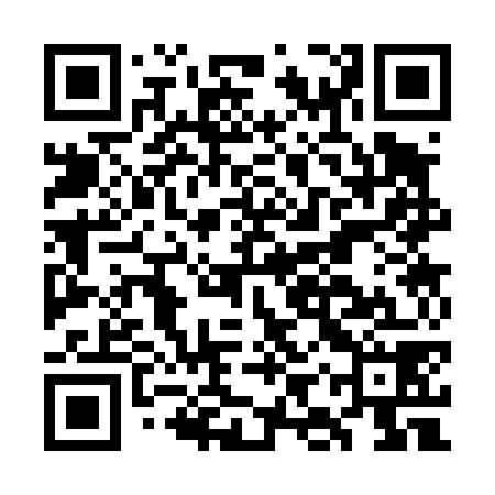 QR code for GIS478