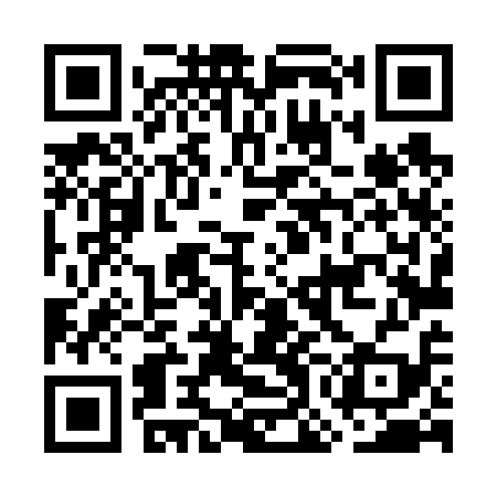 QR code for GOL619