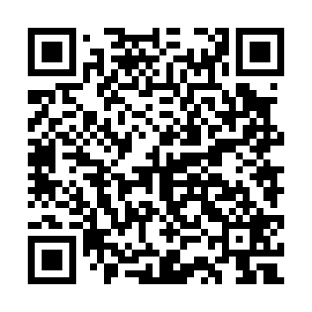 QR code for GSN029